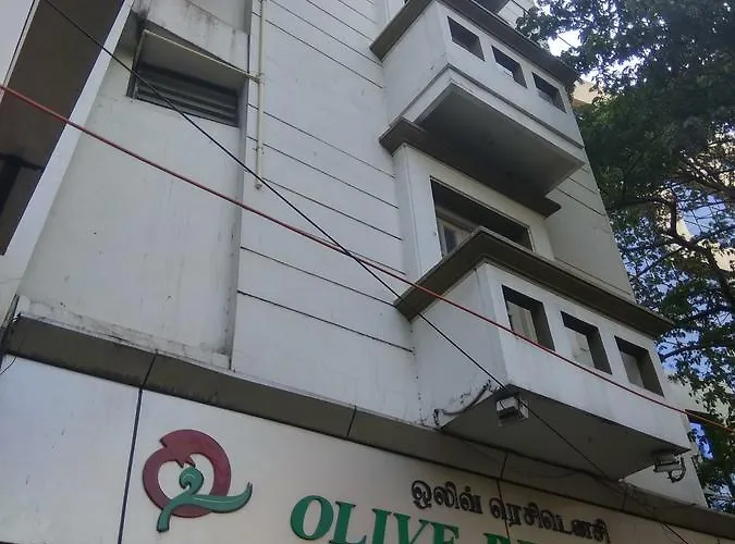 Olive Residency